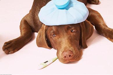 热度空前！《星空》已是Steam美服最畅销游戏